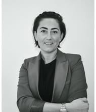 Mirela MANOILA, Onderhandelaar