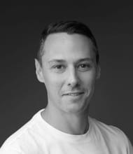 Sylvain QUINTARD, Consulente