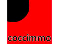 COCCIMMO, Vastgoedkantoor