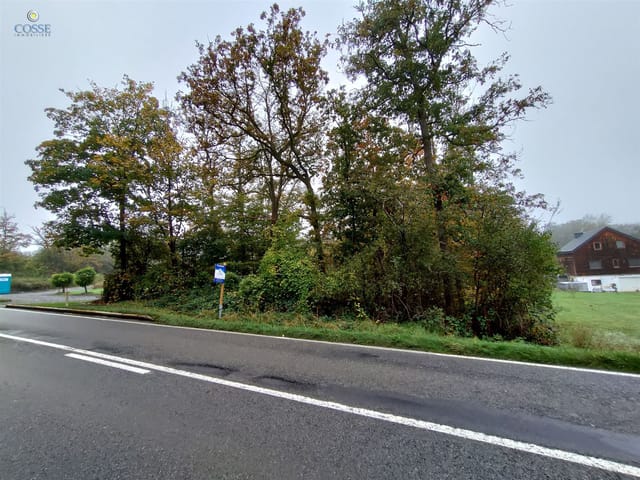 Grundstück zu verkaufen - 6997, Erezée, Belgique, 53zpK2 - Melsia