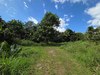 Terrein te koop - 97115, Sainte-Rose, Guadeloupe, 583rNp - Melsia
