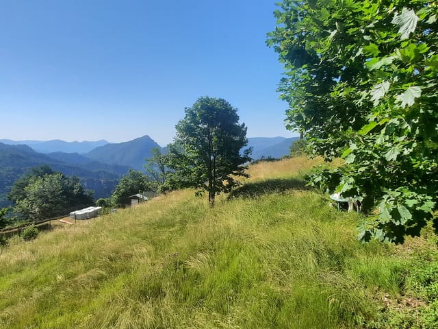 Terrain à vendre - 06830, Toudon (Collines), France, 58qE4n - Melsia