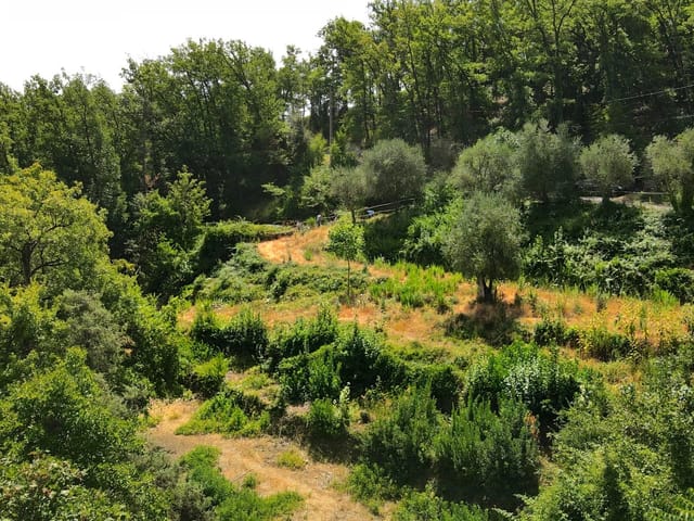 Bouwgrond te koop - 06510, Le-Broc (Collines), France, 5DLgEY - Melsia