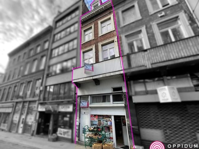 Maison à vendre - Rue Léopold , 45, 4000, Liège, Belgique, 5QM1Lm - Melsia