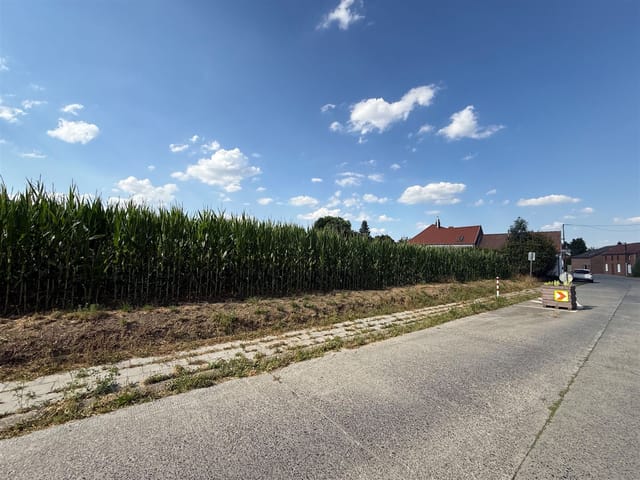 Land for sale - Première Rue Basse, 7970, Beloeil, Belgique, 5R6xPP - Melsia