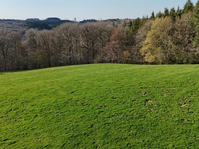 Terrain à vendre - Allée de Bernardfagne, 4190, Ferrières, Belgique, 5RaD6V - Melsia