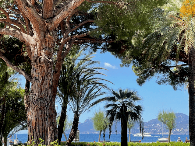 Appartement à vendre - 06400, Cannes (Boulevard Croisette), France, 5RaLKO - Melsia
