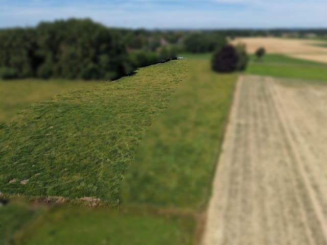 Terreno in vendita - Rue du Pilori, 7972, Beloeil, Belgique, 5RaV9P - Melsia