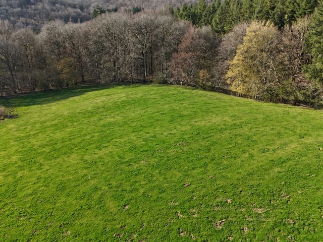 Terrain à vendre - Allée de Bernardfagne, 4190, Ferrières, Belgique, 5r4nAd - Melsia