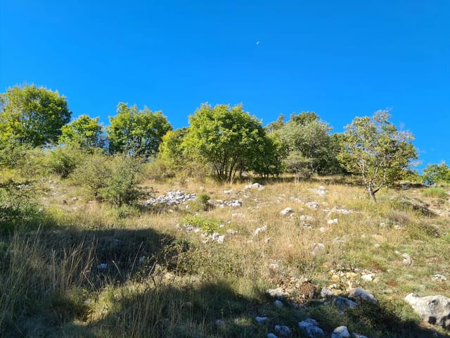Terrein te koop - Caussols, France, 5rBvdE - Melsia