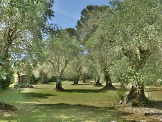 Huis te koop - 06560, Valbonne (Proche village), France, 5rW4Md - Melsia