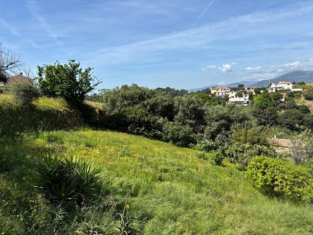 Terrain à vendre - 06700, Saint-Laurent Du Var, France, 5roeD0 - Melsia