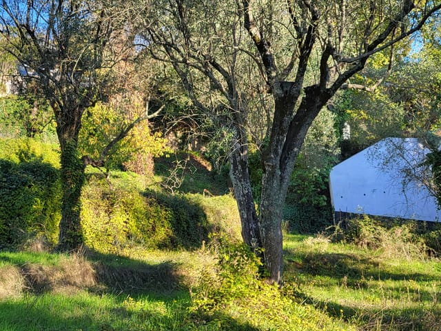 Bouwgrond te koop - 06390, Contes, France, G6jd6A - Melsia