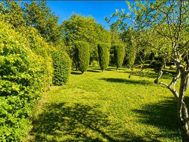 Terrein te koop - 40, Chemin du Peloubier, 06670, Levens (Les Grands Prés), France, GJoJq8 - Melsia