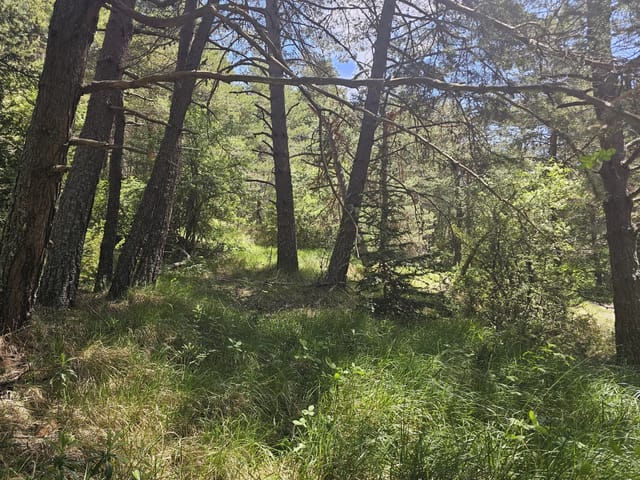Terreno en venta - 06750, Caille, France, GLzJ7y - Melsia