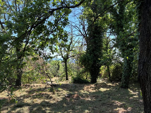 Terrein te koop - 06610, La-Gaude, France, GP6dNL - Melsia