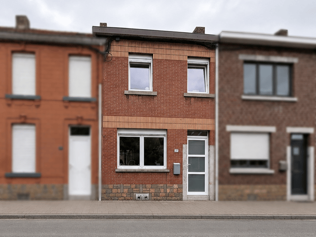 Haus zu verkaufen - Rue du Ruisseau, 22, 4100, Seraing, Belgique, GPav2L - Melsia