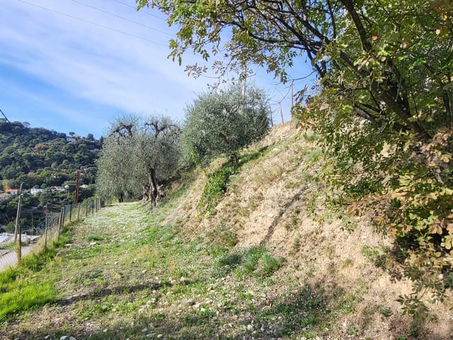 Bouwgrond te koop - 06100, Nice, France, X7Jwxv - Melsia