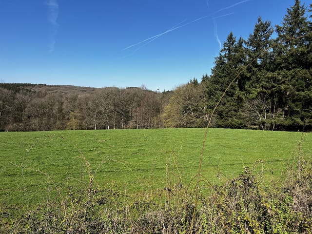 Terrain à vendre - Allée de Bernardfagne, 4190, Ferrières, Belgique, X7WMr0 - Melsia