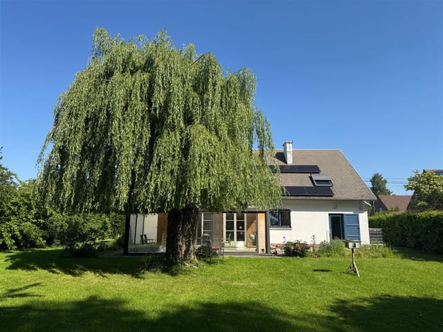Casa in vendita - Rue Haute, 77, 1435, Mont-Saint-Guibert, Belgique, X7WjxM - Melsia