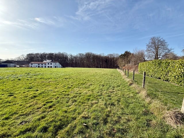 Terrein te koop - Rue des Golards, à gauche du 19, 1450, Chastre, Belgique, XY7n93 - Melsia