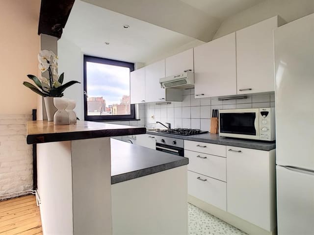 Apartamento aluga-se - Rue Philippe Baucq, 98a, 1040, Etterbeek, Belgique, XY8VO2 - Melsia
