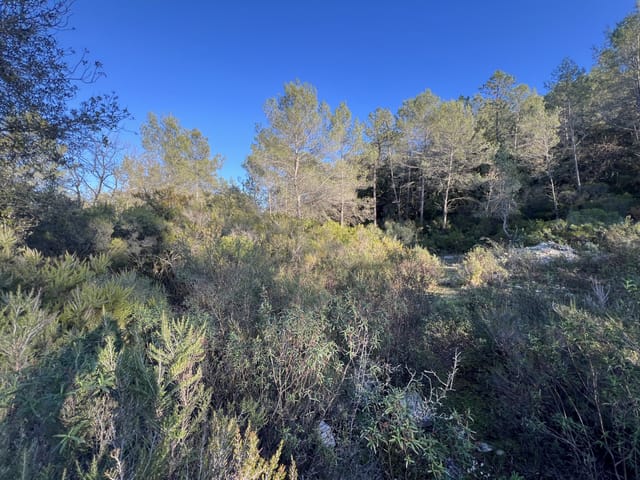 Terrein te koop - 06330, Roquefort-Les-Pins, France, XeK4Mw - Melsia