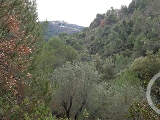 Terrain à vendre - 06670, Colomars (La Colle Germaine), France, XeyZrm - Melsia