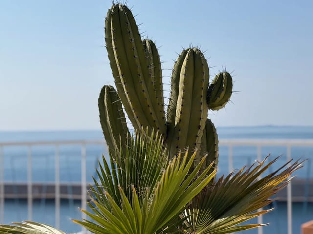 Apartment for sale - 13bis, boulevard franck pilatte, 06300, Nice (Le Port), France, Xg4Rxw - Melsia