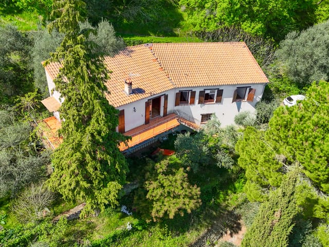  à vendre - 06510, Le-Broc, France, XgDqpp - Melsia