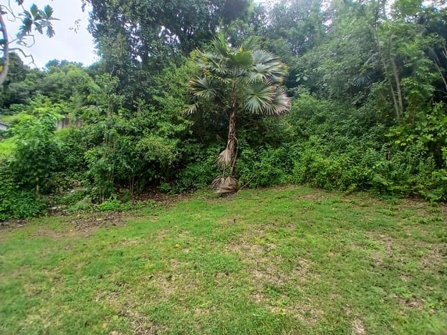 Terreno in vendita - 97190, Le-Gosier (Grand Bois-Port Blanc), Guadeloupe, XgV724 - Melsia