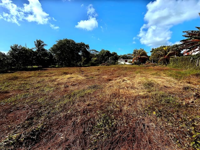 Terrein te koop - 97118, Saint-Francois, Guadeloupe, XmvgKd - Melsia
