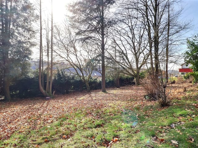 Terreno comprável - 5340, Gesves, Belgique, XyPByj - Melsia
