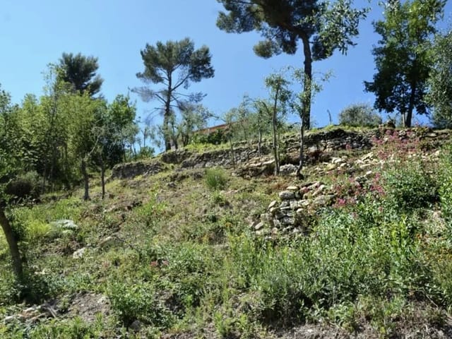 Terreno comprável - 06340, Drap, France, XyPYWw - Melsia