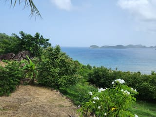 Terrein te koop - 97136, Terre De Bas, Guadeloupe, Xymj33 - Melsia