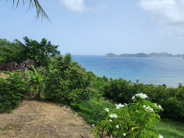 Grundstück zu verkaufen - 97136, Terre De Bas, Guadeloupe, Xymj33 - Melsia