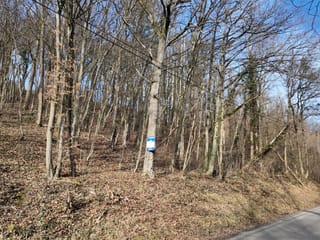 Terreno en venta - 6941, Durbuy, Belgique, b1JEok - Melsia