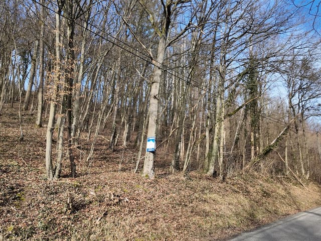 Grundstück zu verkaufen - 6941, Durbuy, Belgique, b1JEok - Melsia