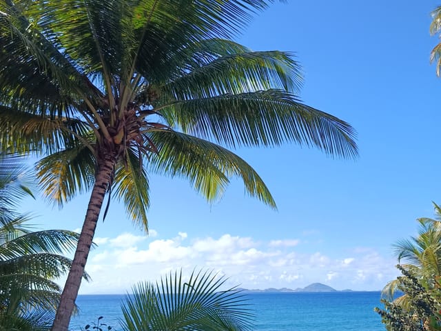 Casa in vendita - 97130, Capesterre-Belle-Eau, Guadeloupe, b1gj0w - Melsia