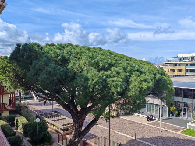 Apartamento comprável - 83600, Frejus (Port Fréjus II), France, b1mzqn - Melsia