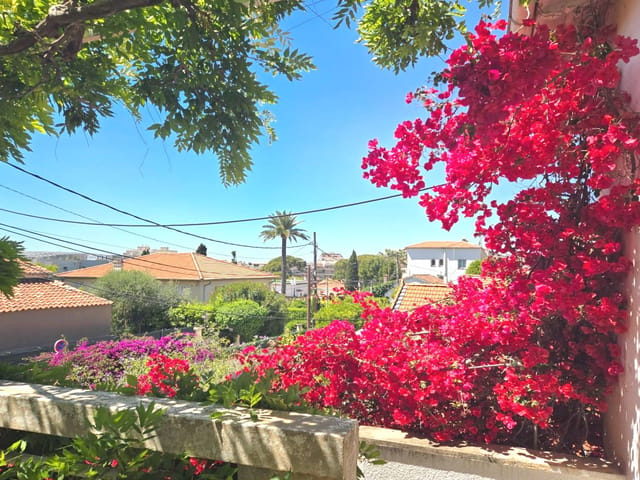 Maison à vendre - 06160, Antibes (Juan les pins), France, b1xgJw - Melsia