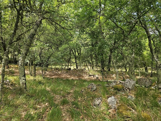 Terreno en venta - 06460, Saint-Vallier De Thiey, France, baDBYv - Melsia