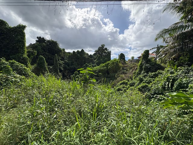 Constructible à vendre - 97111, Morne-A-L'eau (Vieux Bourg), Guadeloupe, baDyav - Melsia