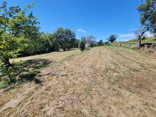 Terrein te koop - 06830, Tourette Du Chateau, France, baKqOr - Melsia