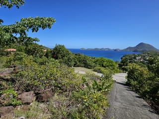 Terrein te koop - 97136, Terre De Bas, Guadeloupe, baYgdR - Melsia