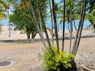 Apartamento comprável - 97118, Saint-Francois, Guadeloupe, bowLBz - Melsia